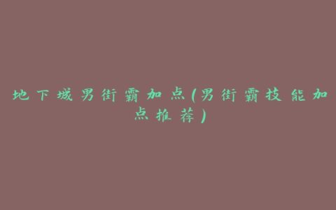 地下城男街霸加点（男街霸技能加点推荐）