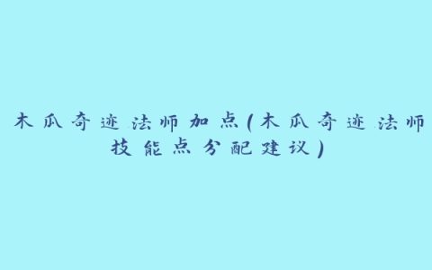 木瓜奇迹法师加点（木瓜奇迹法师技能点分配建议）