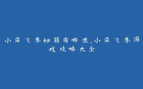 小盗飞车秘籍有哪些,小盗飞车游戏攻略大全