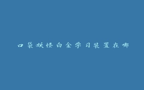 口袋妖怪白金学习装置在哪