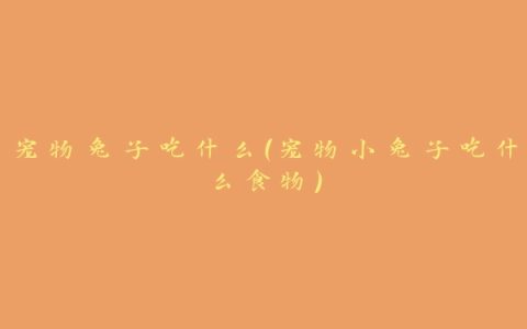 宠物兔子吃什么(宠物小兔子吃什么食物)