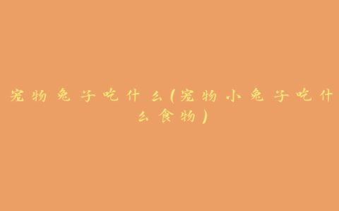 宠物兔子吃什么(宠物小兔子吃什么食物)