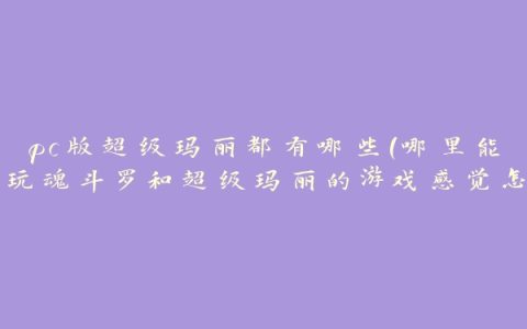 pc版超级玛丽都有哪些(哪里能玩魂斗罗和超级玛丽的游戏感觉怎么样)