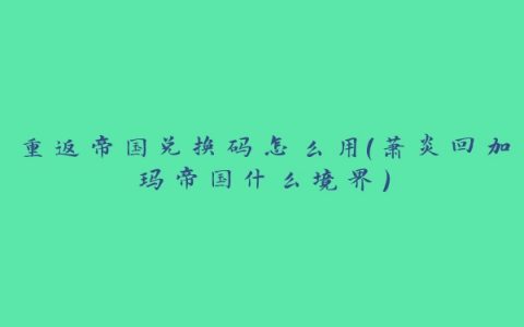 重返帝国兑换码怎么用(萧炎回加玛帝国什么境界)