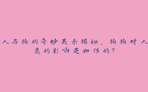 人与狗的奇妙关系揭秘，狗狗对人类的影响是如何的？
