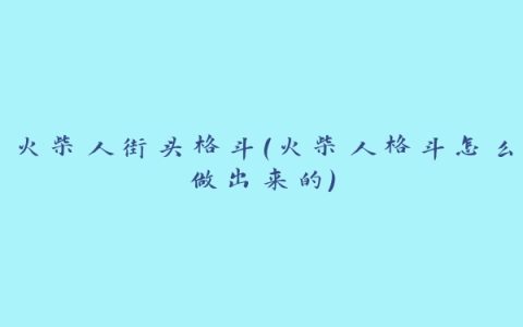 火柴人街头格斗(火柴人格斗怎么做出来的)