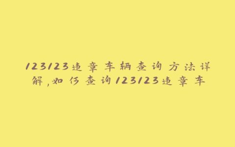 123123违章车辆查询方法详解,如何查询123123违章车辆信息
