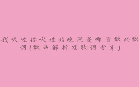 我吹过你吹过的晚风是哪首歌的歌词（歌曲解析及歌词分享）