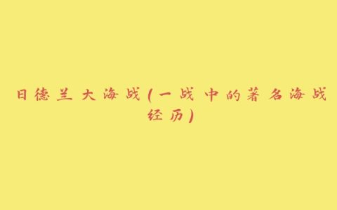 日德兰大海战（一战中的著名海战经历）