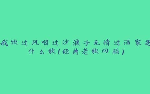 我饮过风咽过沙浪子无情过酒家是什么歌（经典老歌回顾）
